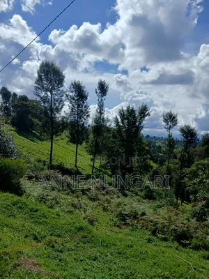 Tea Land for Sale