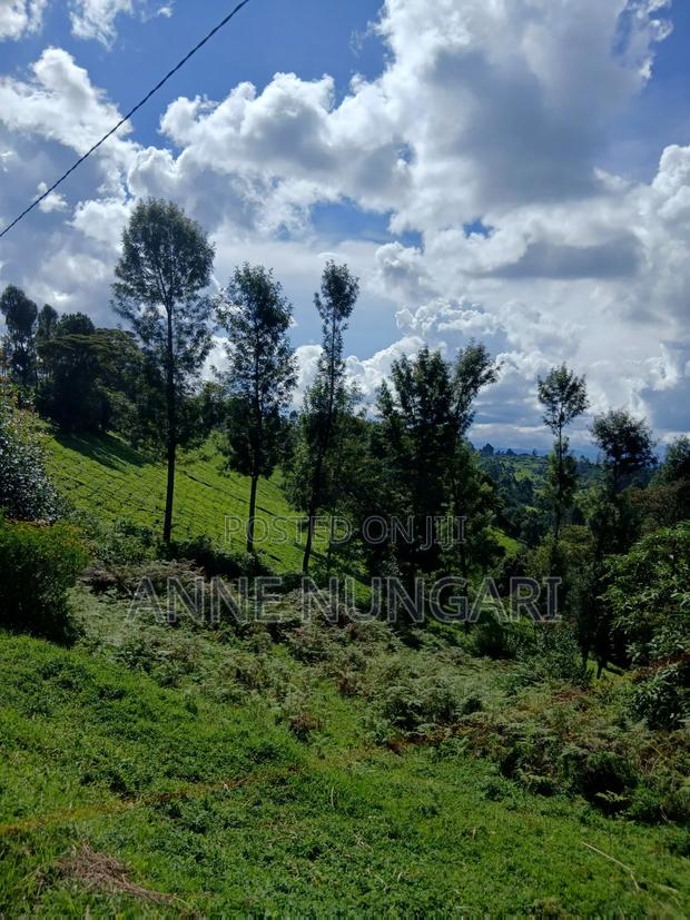 Tea Land for Sale - thumbnail 5