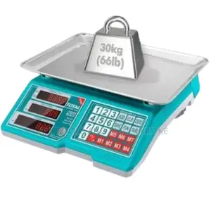 Lithium-Ion Scale TES1223 – Superior Ultra-Precise High-Performance