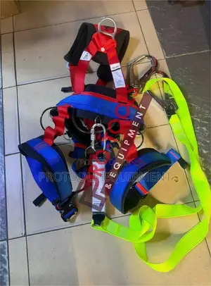 Full Body Harness