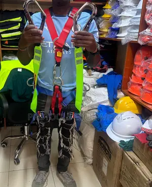 Full Body Harness