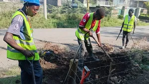 Rapsum Landscaping Kenya