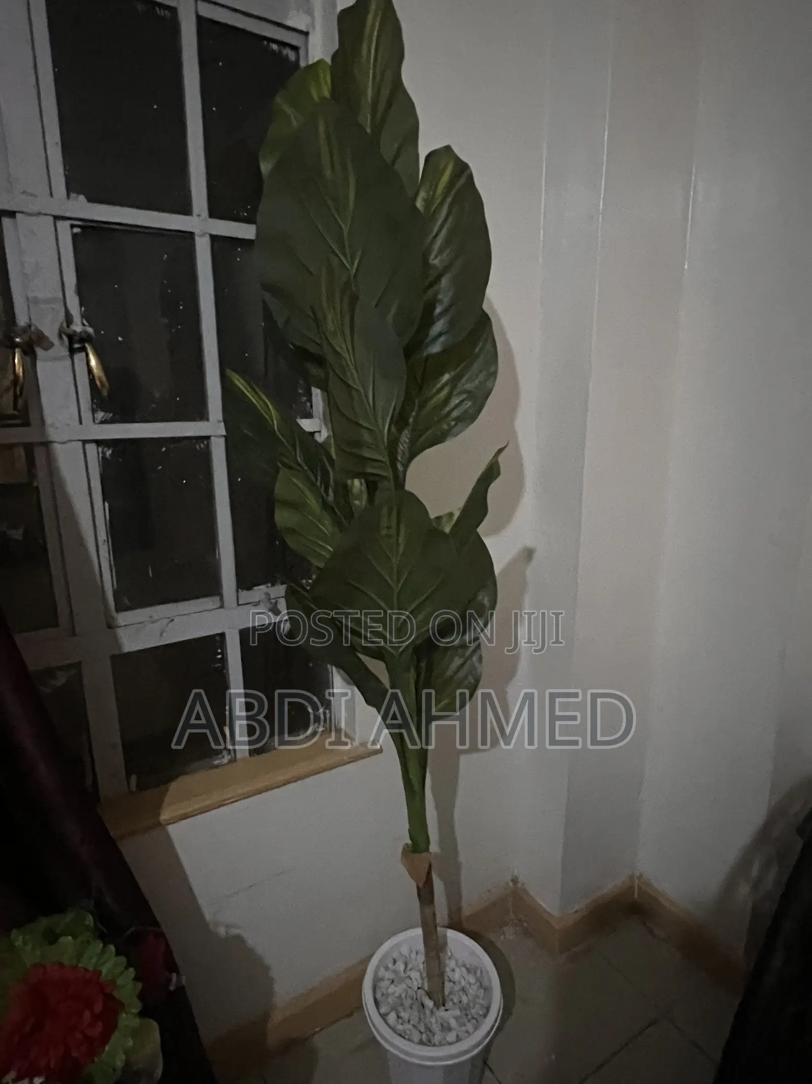 Second-Hand Flowers