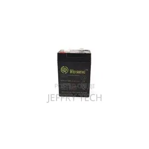 6V 5Ah Weisheng Rechargeable Battery