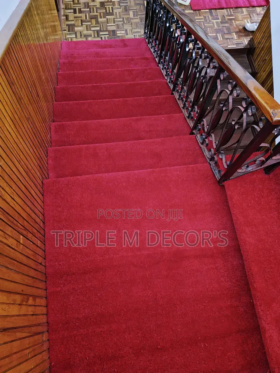 Quality Cozy Delta Wall to Wall Carpet