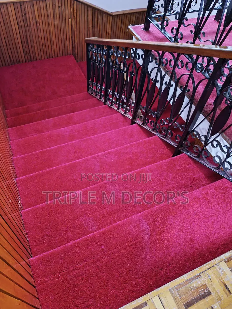Quality Cozy Delta Wall to Wall Carpet