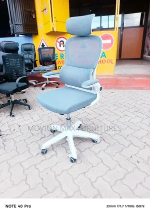 Office Chair, Orthopedic Support Headrest Office Chair