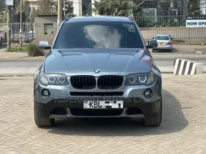 BMW X3 2009 Gray