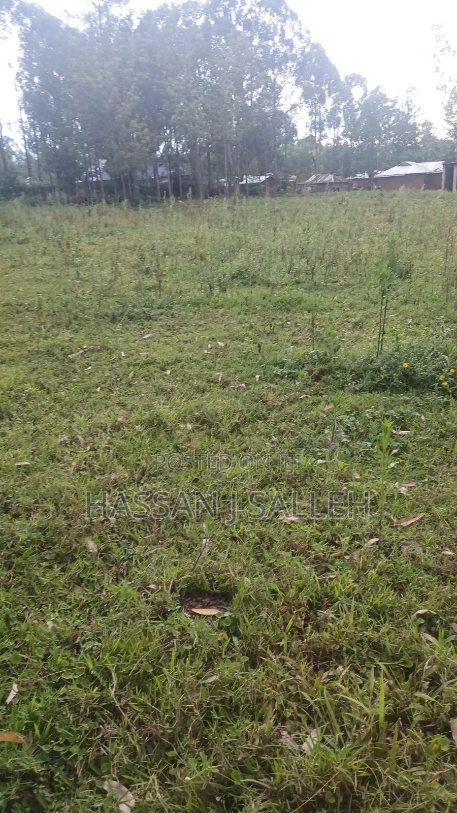 1 1/2acres Mwitoti on Sale