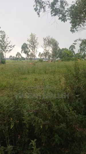 1 1/2acres Mwitoti on Sale