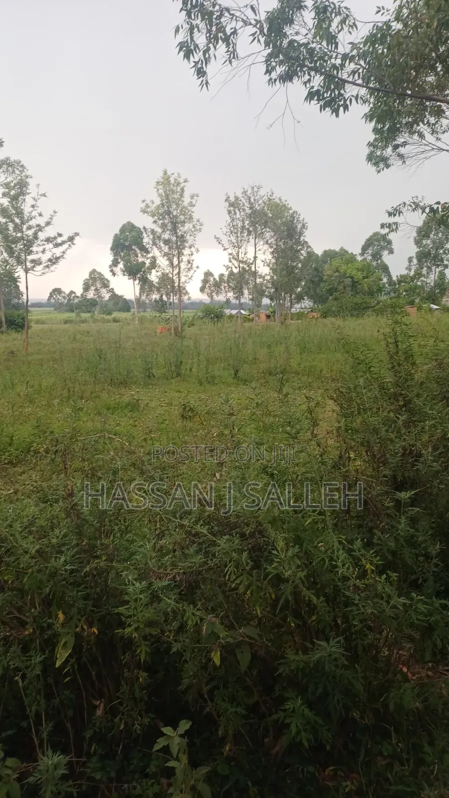 1 1/2acres Mwitoti on Sale