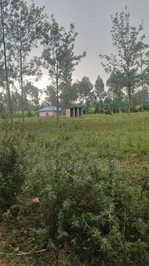1 1/2acres Mwitoti on Sale