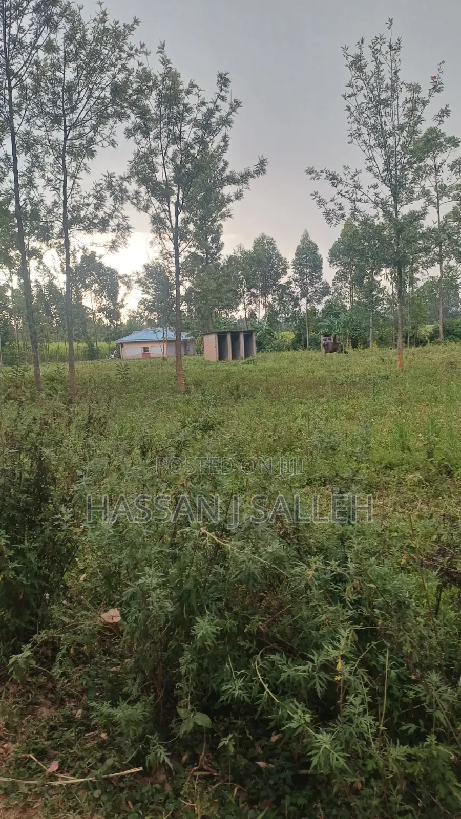1 1/2acres Mwitoti on Sale