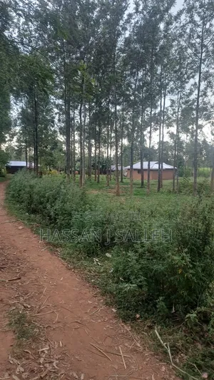 1 1/2acres Mwitoti on Sale