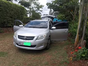 Toyota Corolla Fielder 2009 Silver