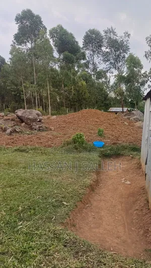 1 1/2acres Ekero .
