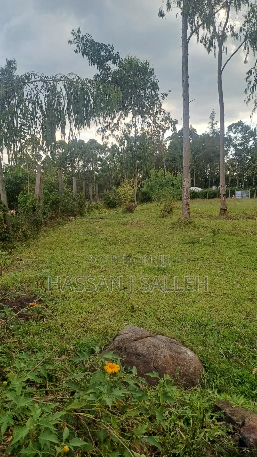 1 1/2acres Ekero .