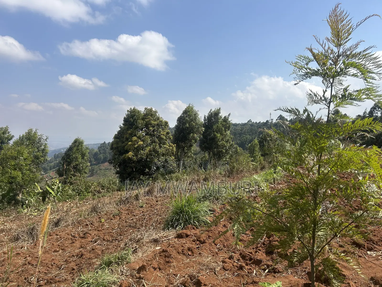 Half Acre Land Mua Hills