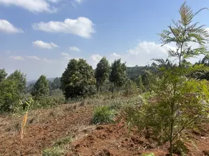 Half Acre Land Mua Hills