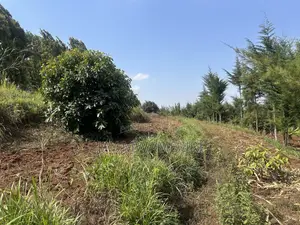 Half Acre Land Mua Hills