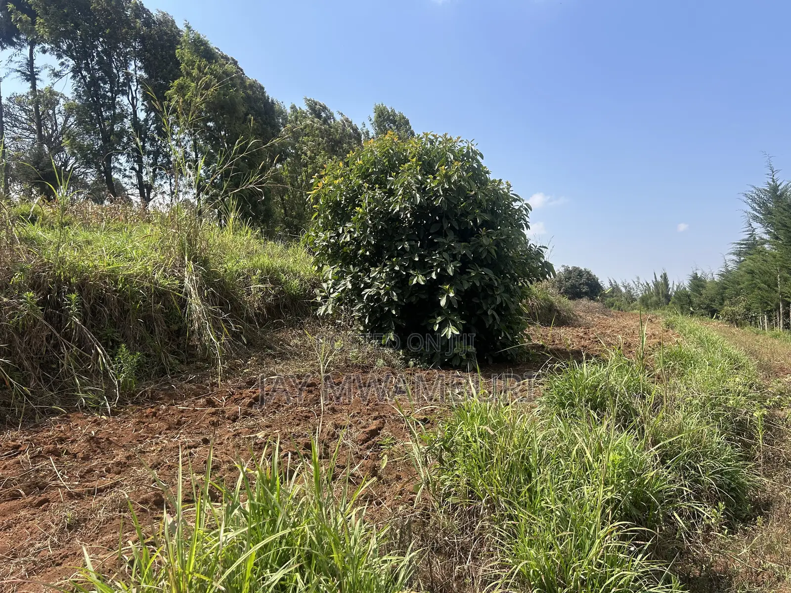 Half Acre Land Mua Hills