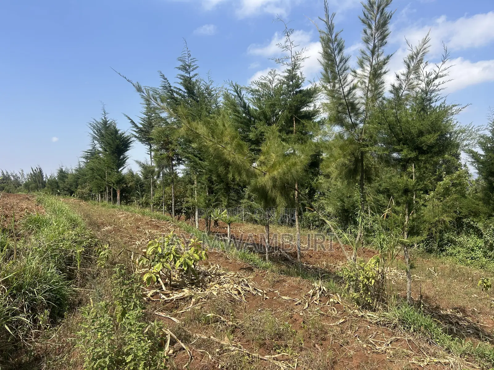 Half Acre Land Mua Hills