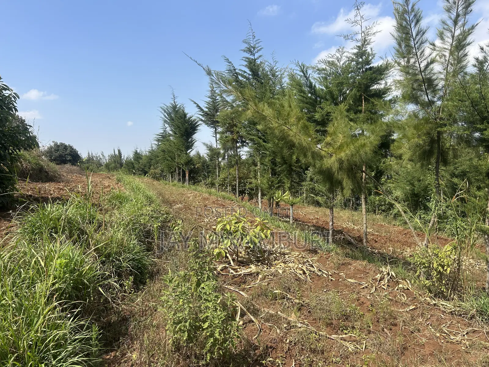 Half Acre Land Mua Hills