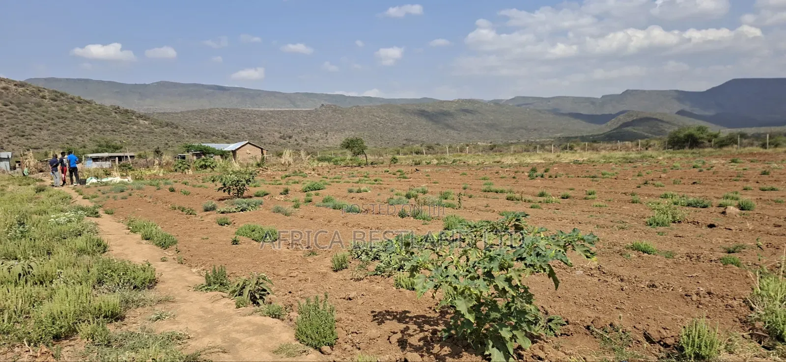 5 Acres Available Land for Sale in Ndiuni Kiambu County
