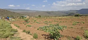5 Acres Available Land for Sale in Ndiuni Kiambu County