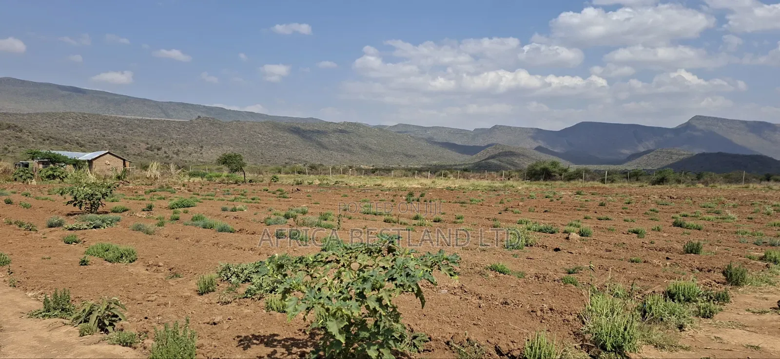 5 Acres Available Land for Sale in Ndiuni Kiambu County
