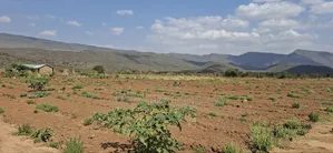 5 Acres Available Land for Sale in Ndiuni Kiambu County