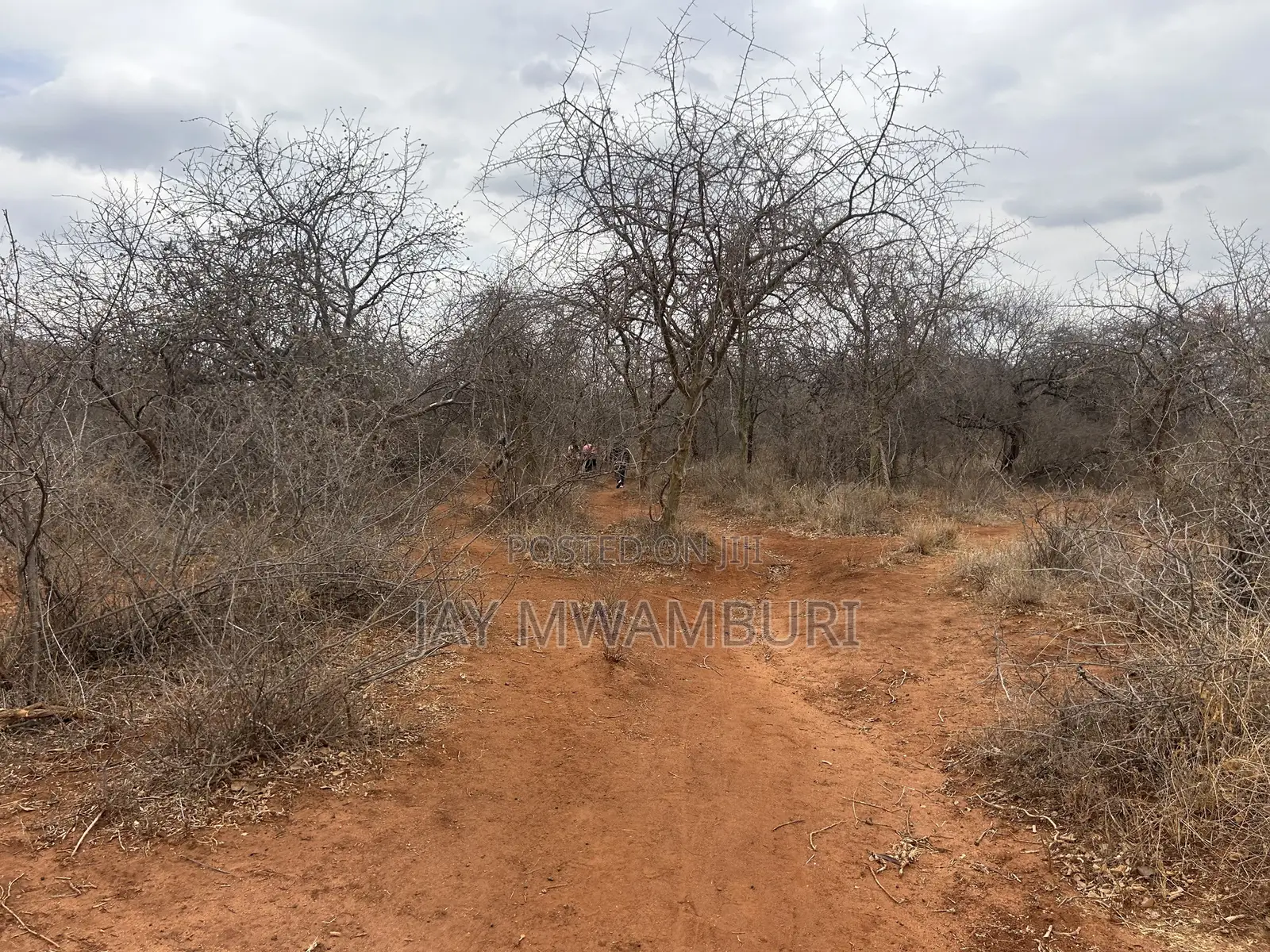 195 Acres Makindu