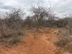 195 Acres Makindu