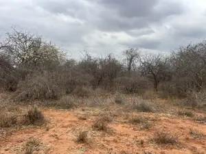 195 Acres Makindu