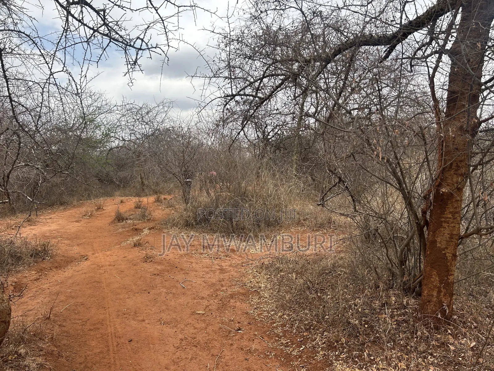 195 Acres Makindu