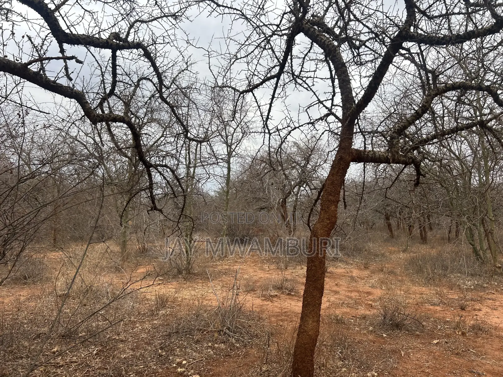 195 Acres Makindu