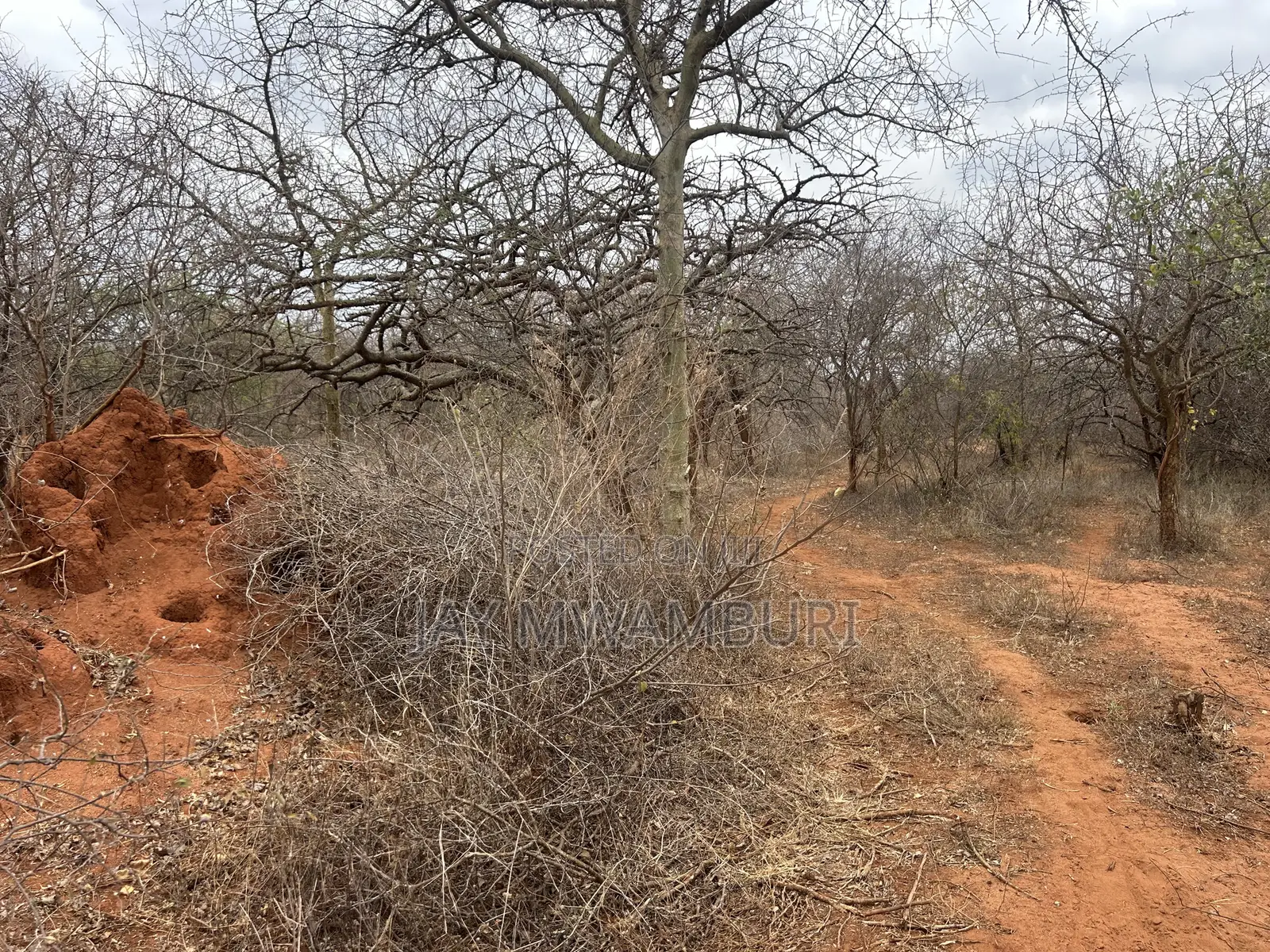 195 Acres Makindu