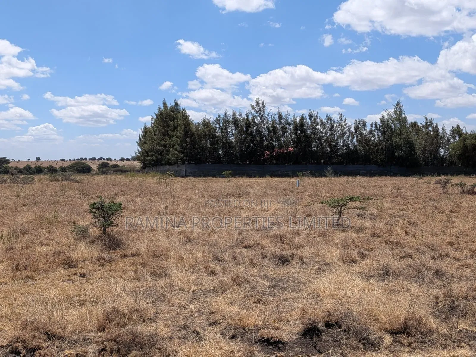 Half Acre for Sale in Korompoi (200by200)