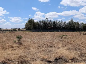 Half Acre for Sale in Korompoi (200by200)