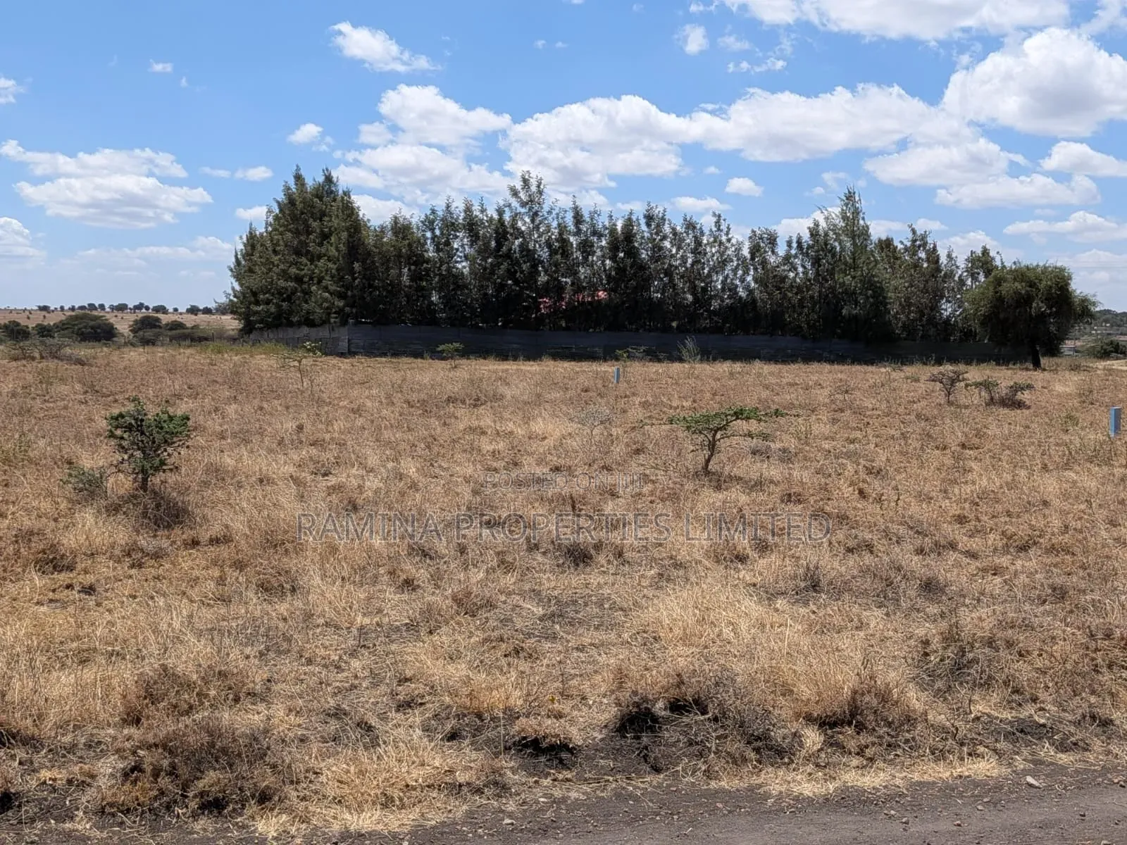 Half Acre for Sale in Korompoi (200by200)