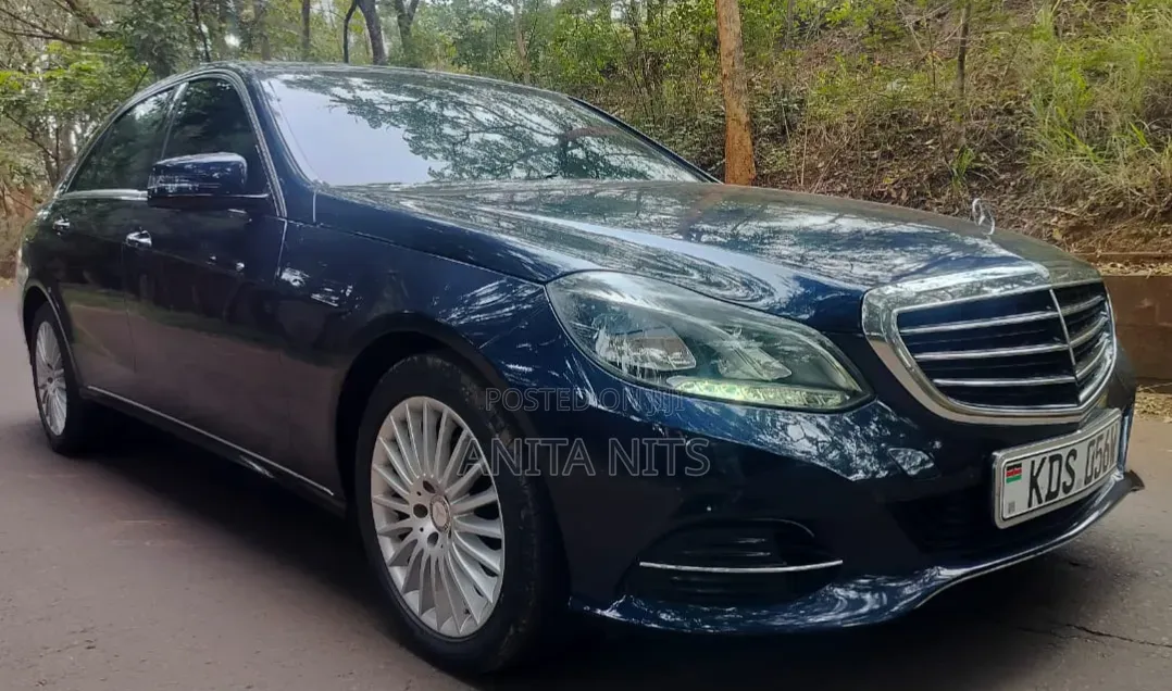 Mercedes-Benz E250 SV Premium 2014 Blue