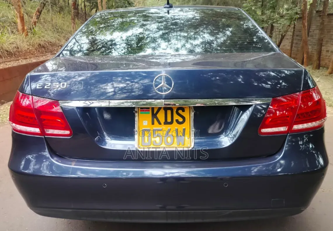 Mercedes-Benz E250 SV Premium 2014 Blue