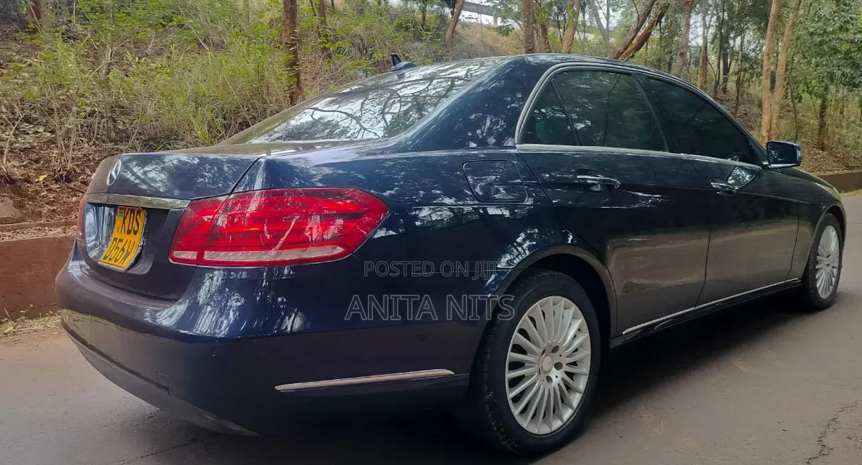 Mercedes-Benz E250 SV Premium 2014 Blue