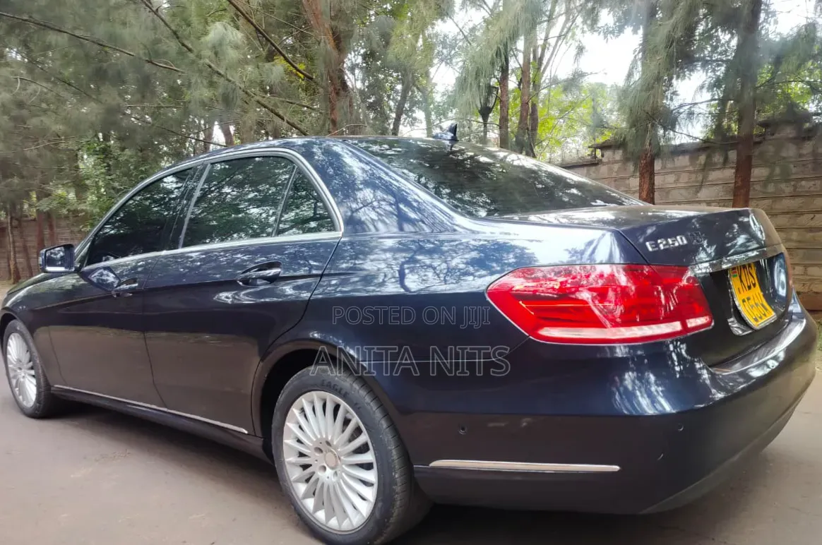 Mercedes-Benz E250 SV Premium 2014 Blue