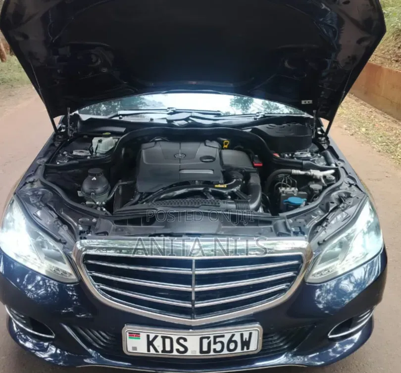 Mercedes-Benz E250 SV Premium 2014 Blue