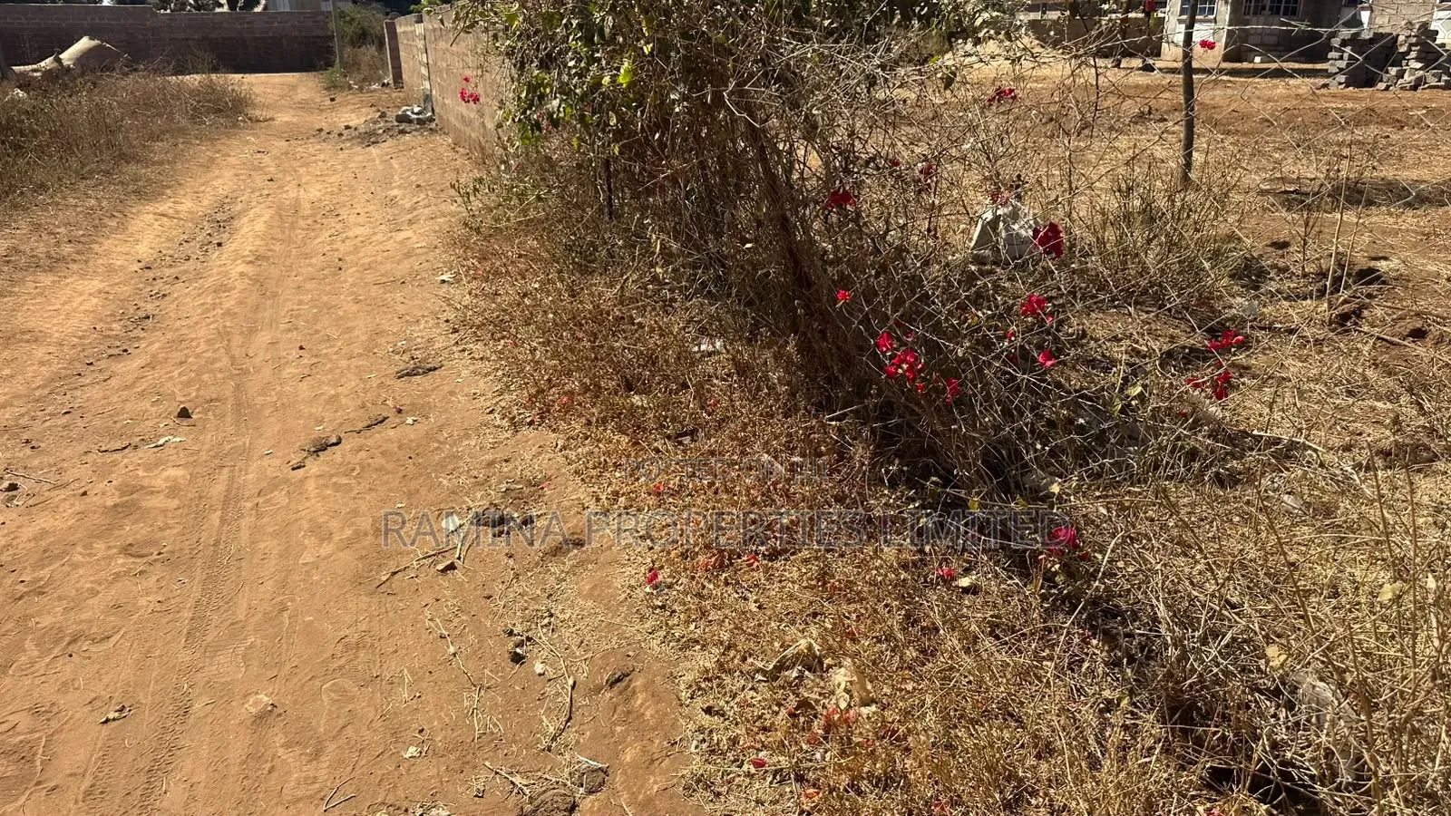 Plot for Sale in Kimana, Loitoktok.
