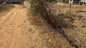 Plot for Sale in Kimana, Loitoktok.