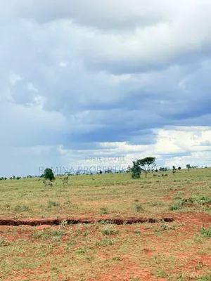 31 Acres for Sale in Marueshi (Simba Cement), Emali-Loitoktok Highway.