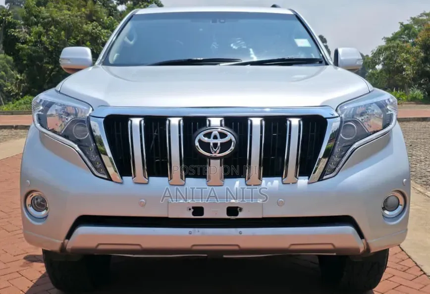 Toyota Land Cruiser 2012 Silver