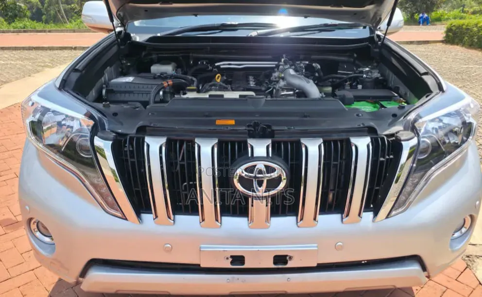 Toyota Land Cruiser 2012 Silver